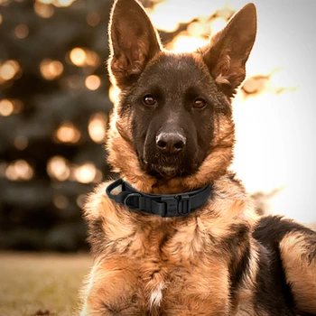 Karinis taktinis šuns antkaklis Vokiečių Shepard vidutinio dydžio šunų antkakliai vaikščiojimui Mokymas Patvari šunų antkaklio valdymo rankena