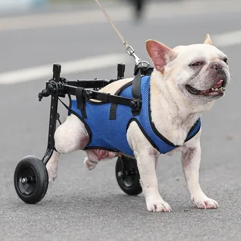 Lengvas reguliuojamas šuo Neįgaliojo vežimėlis Šuo S/M/L Reguliuojamos kojos Reabilitacinis traukinys Naminių gyvūnėlių pasivaikščiojimo įrankiai Augintinis