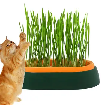 Pet Cat Grass Planter Box Hidroponinė kačių žolė Augalų auginimo vazonas Kačių užkandžiai be dirvožemio Daigumas Medelynas Puodas Auginimo dėžutė